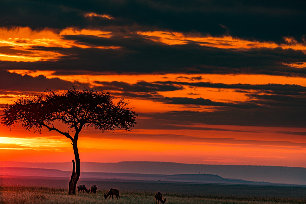 Nairobi, Kenya