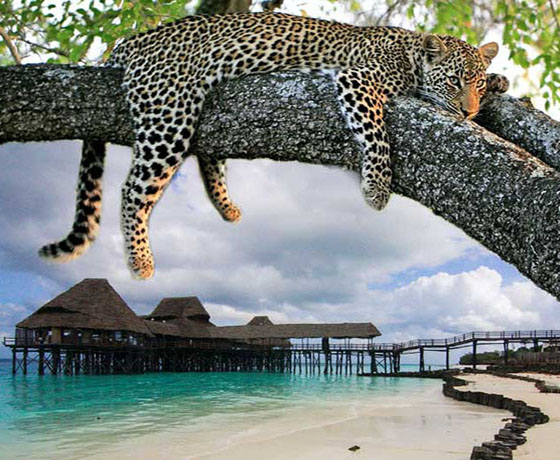 Zanzibar, Tanzania